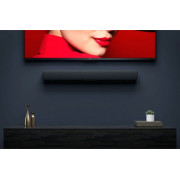 Колонка Xiaomi Mi TV Audio MDZ-27 (черный)