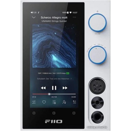 Усилитель FiiO R7