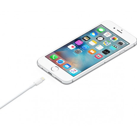 Apple Lightning to USB 1 m (MD818ZM)