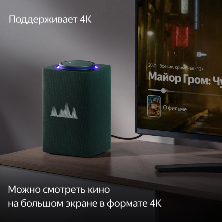 Колонка Яндекс Станция Макс с Zigbee YNDX-0053 (зеленый) купить в ...