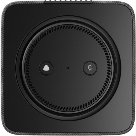 Колонка Яндекс Станция Макс с Zigbee YNDX-0053 (графит)