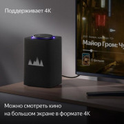 Колонка Яндекс Станция Макс с Zigbee YNDX-0053 (графит)