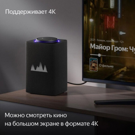 Колонка Яндекс Станция Макс с Zigbee YNDX-0053 (графит)