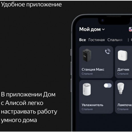 Колонка Яндекс Станция Макс с Zigbee YNDX-0053 (графит)
