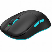 Мышь Dark Project x VGN F1 Black (DP-VGN-F1W)
