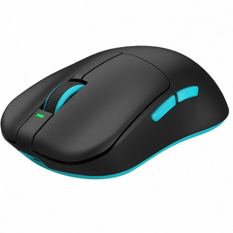 Мышь Dark Project x VGN F1 Black (DP-VGN-F1W)