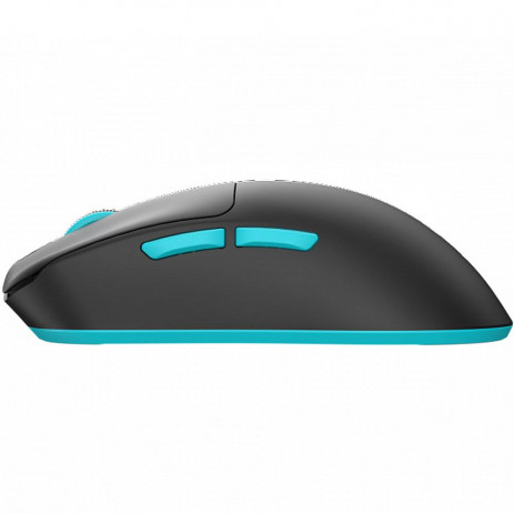 Мышь Dark Project x VGN F1 Black (DP-VGN-F1W)