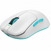 Мышь Dark Project x VGN F1 Pro Max White (DP-VGN-F1PMW)