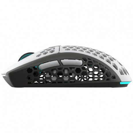 Мышь Dark Project ME4 Wireless (белый-черный)