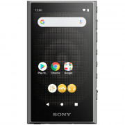 Sony NW-A306 (серый)