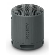 Sony SRS-XB100 (черный)