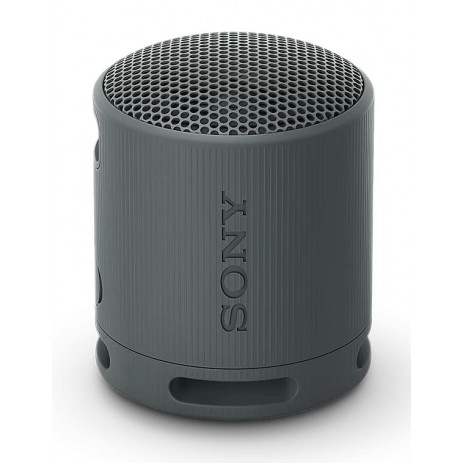 Колонка Sony SRS-XB100 (черный)