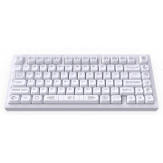 Клавиатура Dark Project Zeno g3ms Sapphire CM81 DP-CM81ZWC (белый)
