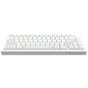 Клавиатура Dark Project KD65A g3ms Zircon (DP-KD-65A-010100-GZR) (белый)