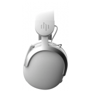 Наушники Dark Project HS5 DP-HS-1015 (белый)