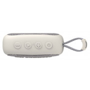 Беспроводная колонка FiiO Anywhere (белый)