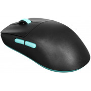 Игровая мышка IO x VXE R1 SE+ (черный)