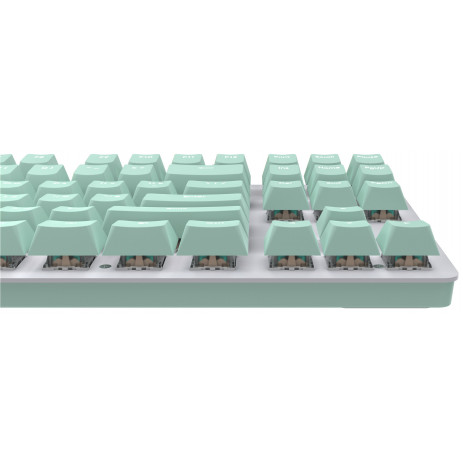 Игровая клавиатура IO by Red Square Typex v2 Mint [g3ms Sapphire] (io214)