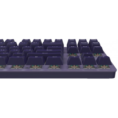 Игровая клавиатура IO by Red Square Typex v2 Amethyst [g3ms Sapphire] (io215)