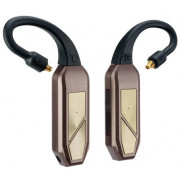 Беспроводные заушины iFi Audio GO pod Max