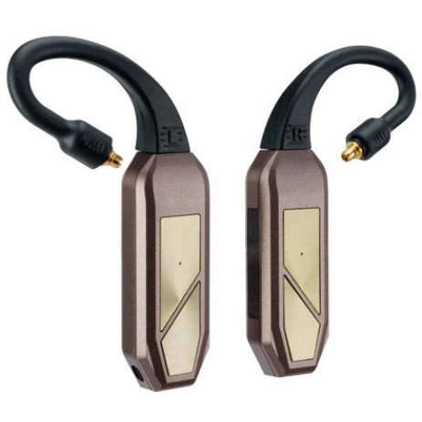 Беспроводные заушины iFi Audio GO pod Max