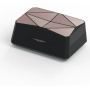 Беспроводные заушины iFi Audio GO pod Max
