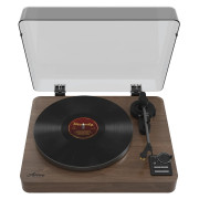 Alive Audio Manga wood BT