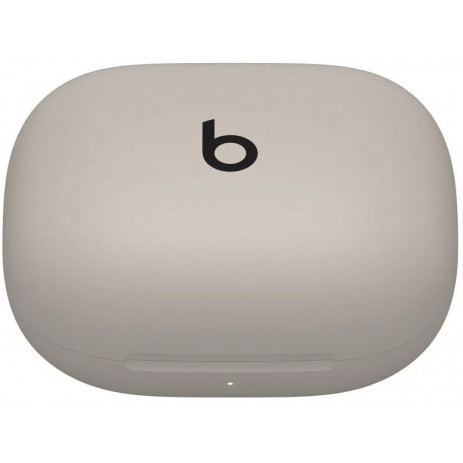 Беспроводные наушники Beats Powerbeats Pro 2 (серый)