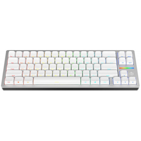 Игровая клавиатура IO by Red Square Custom 68 (io2021) (белый)
