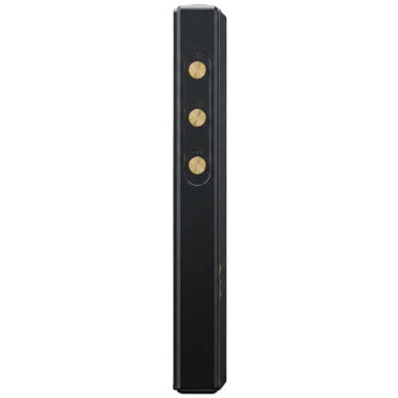 Fiio M21 (черный)