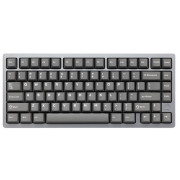 Wobkeys Rainy75 RT Lite TTC KOM RGB Switch (серый)