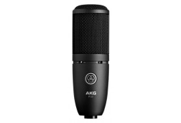 AKG P120