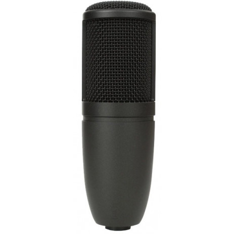 Микрофон AKG P120
